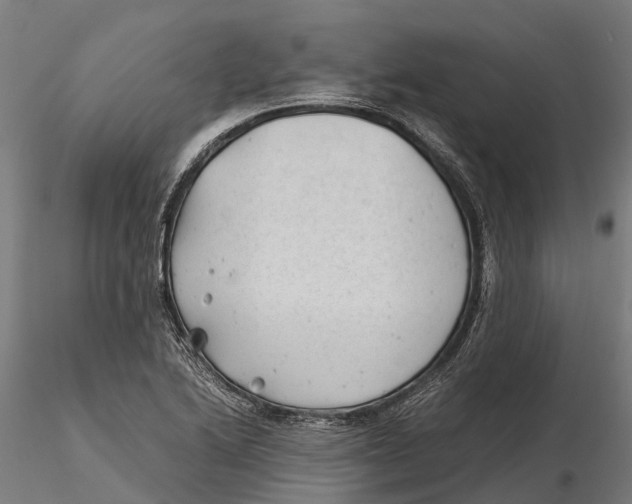 X0000115681222200912031412