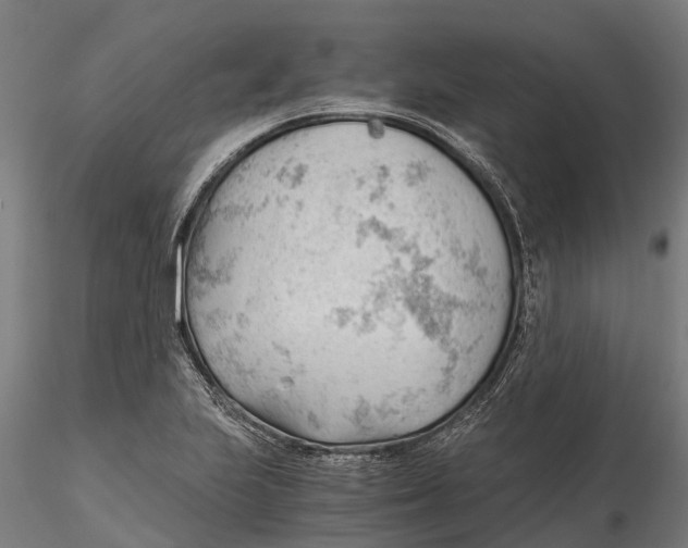 X0000115681223200912031412