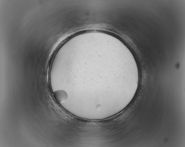 X0000115681224200912031412