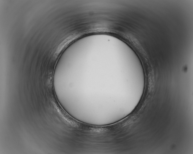 X0000115681225200912031412