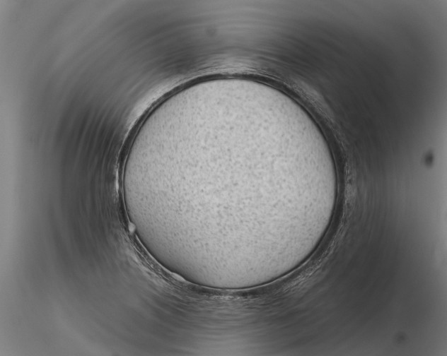 X0000115681226200912031412