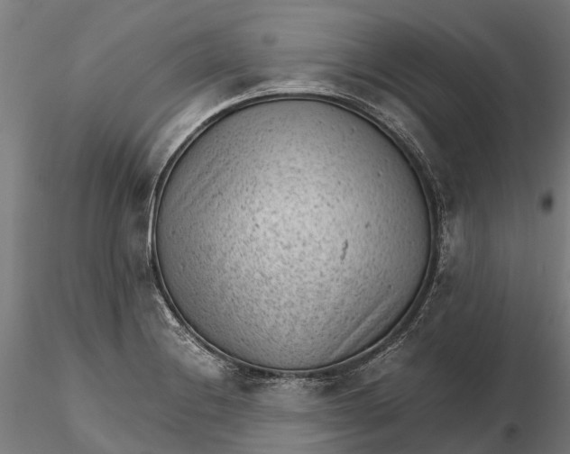 X0000115681228200912031412