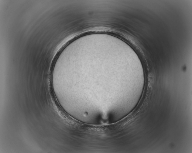 X0000115681229200912031412