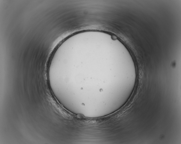 X0000115681230200912031412