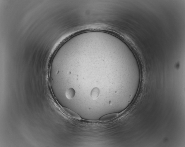 X0000115681232200912031412