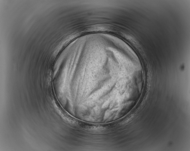 X0000115681233200912031412