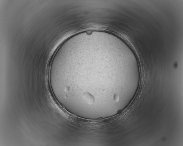 X0000115681235200912031412