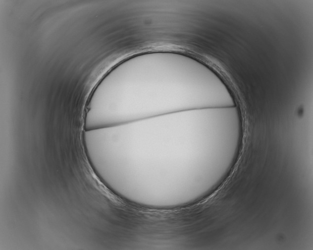 X0000115681236200912031412