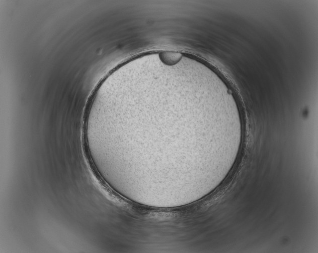 X0000115681237200912031412