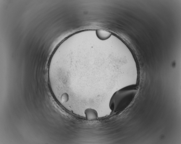 X0000115681238200912031412