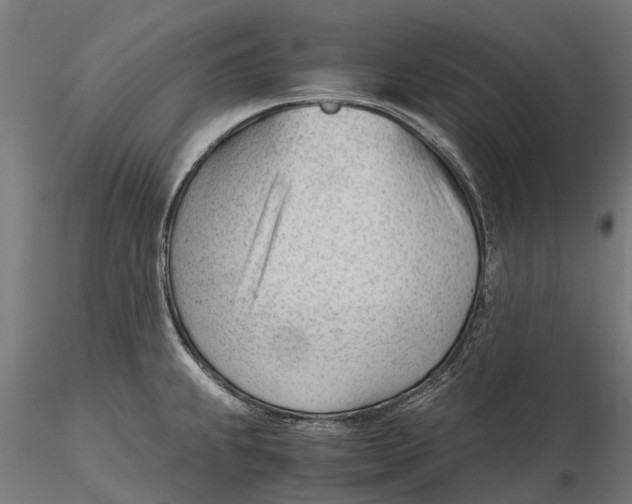 X0000115681239200912031412