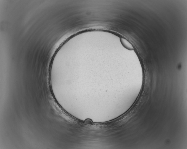 X0000115681240200912031412