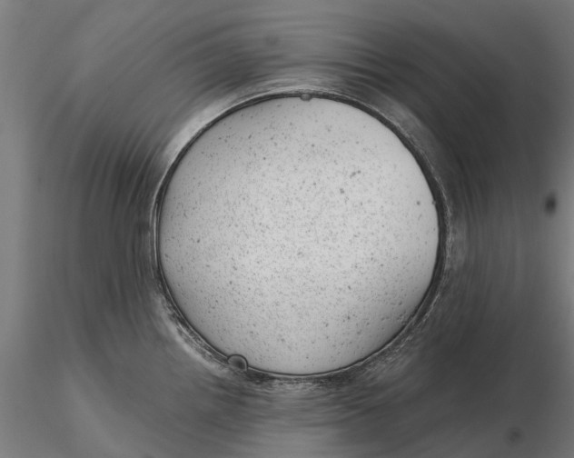 X0000115681242200912031412