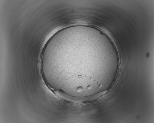 X0000115681243200912031412