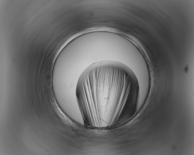 X0000115681244200912031412