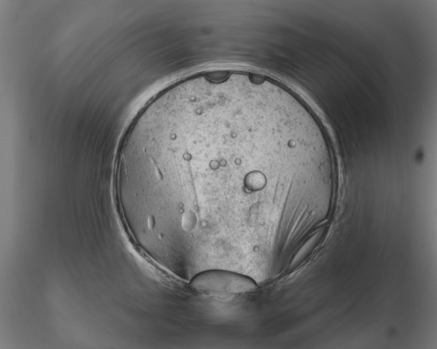 X0000115681245200912031412