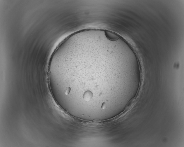 X0000115681248200912031412