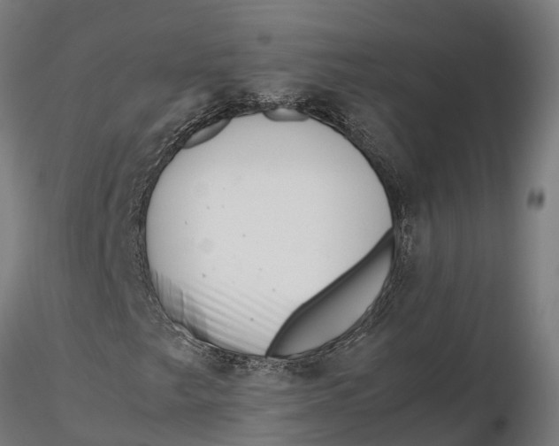 X0000115681249200912031411