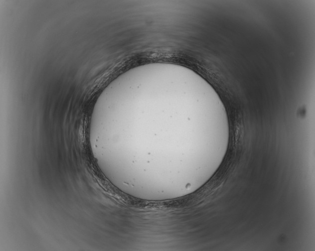 X0000115681250200912031411