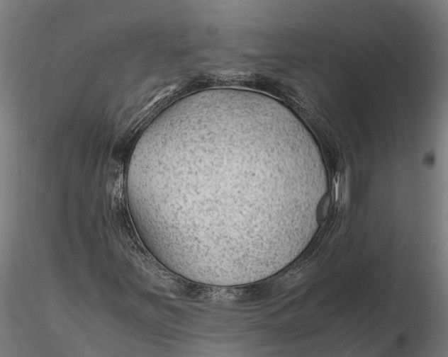 X0000115681251200912031411