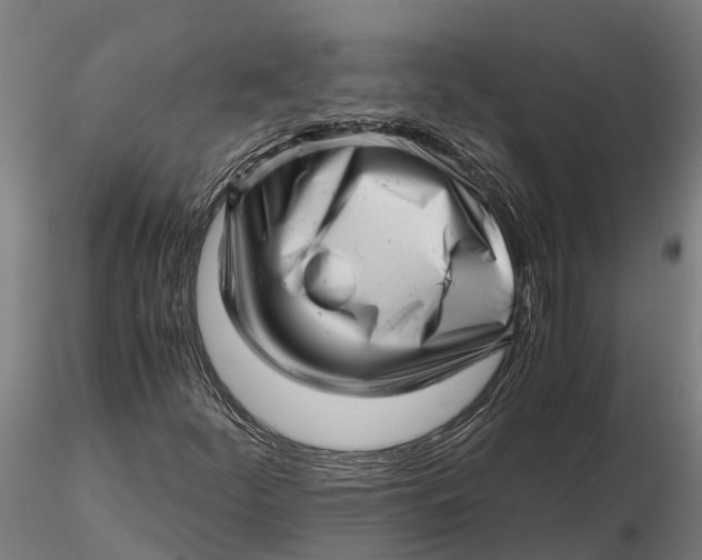 X0000115681252200912031411