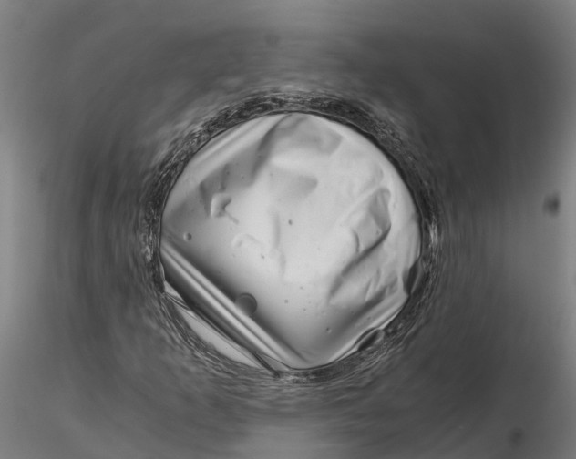 X0000115681253200912031411