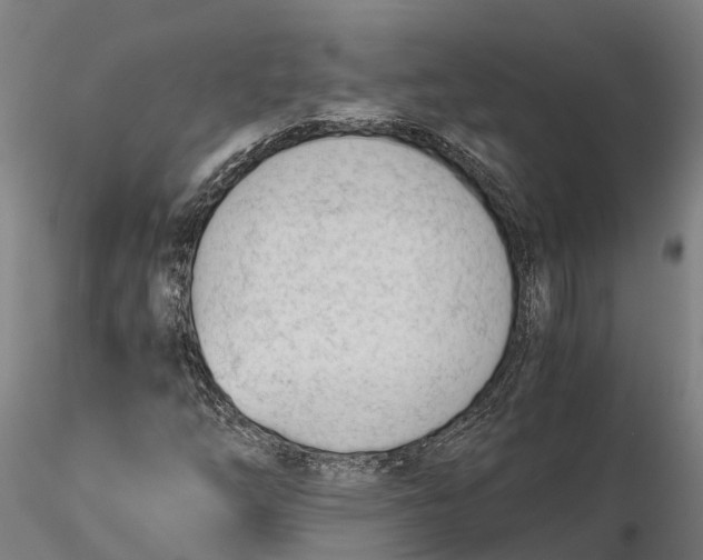 X0000115681254200912031411