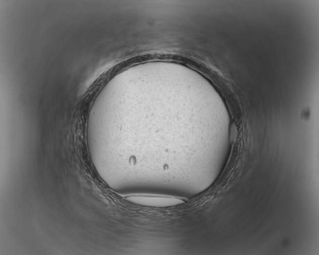 X0000115681255200912031411