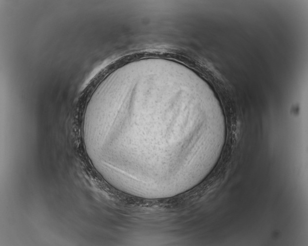 X0000115681256200912031411