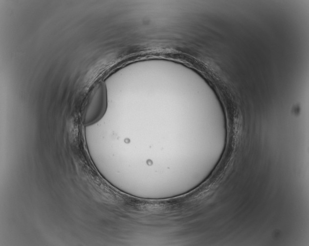 X0000115681257200912031411