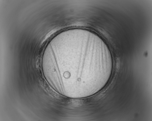 X0000115681258200912031411