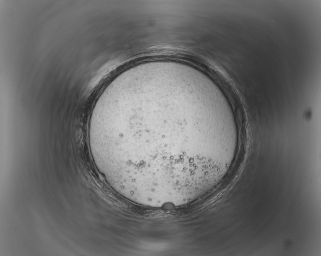 X0000115681259200912031411