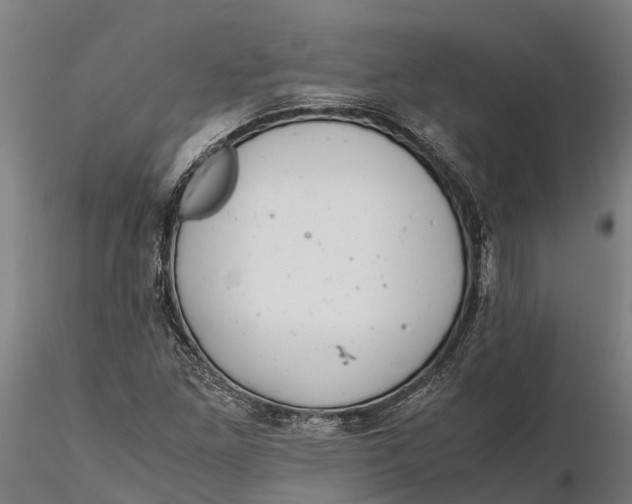 X0000115681261200912031411