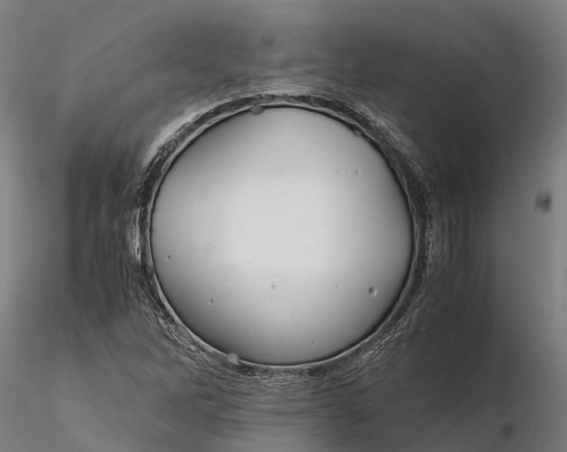 X0000115681262200912031411