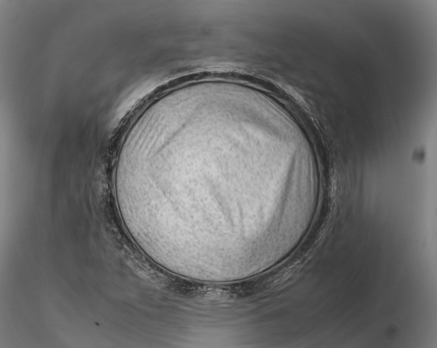 X0000115681263200912031411