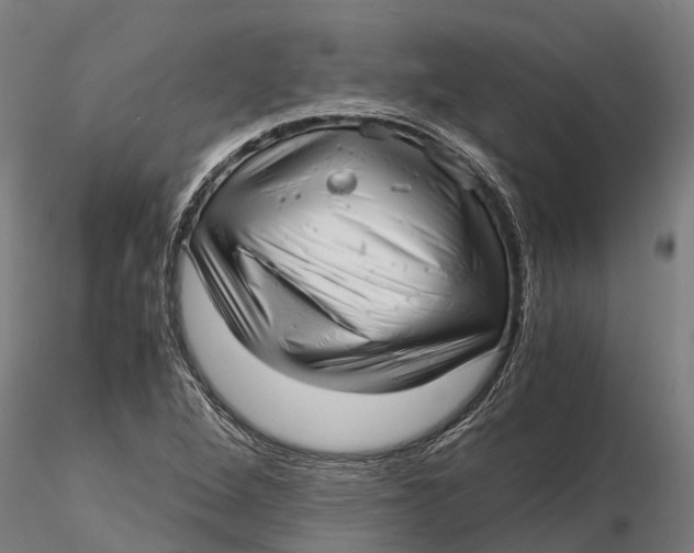 X0000115681264200912031411