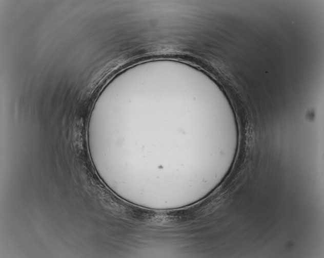 X0000115681265200912031411