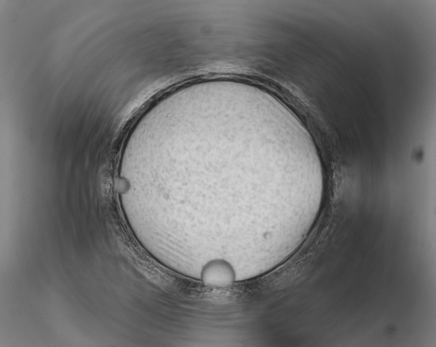 X0000115681266200912031411