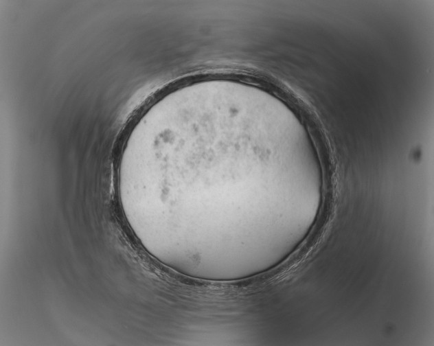 X0000115681267200912031411