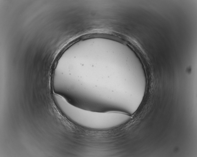 X0000115681268200912031411