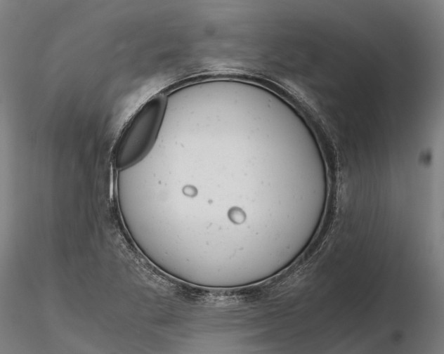 X0000115681269200912031411