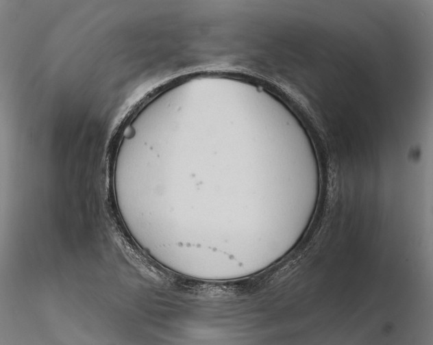 X0000115681270200912031411