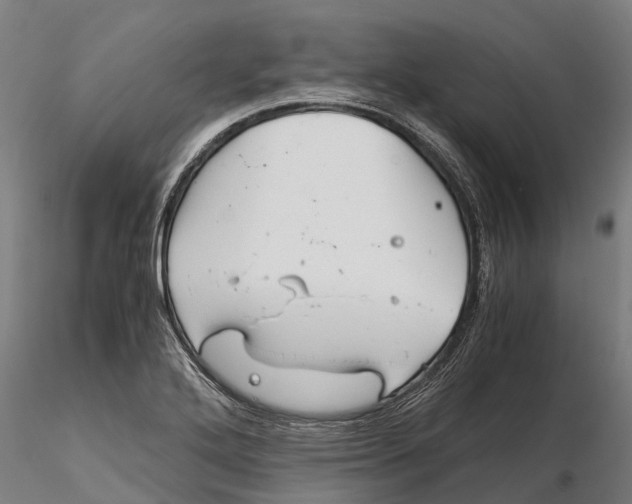 X0000115681272200912031411