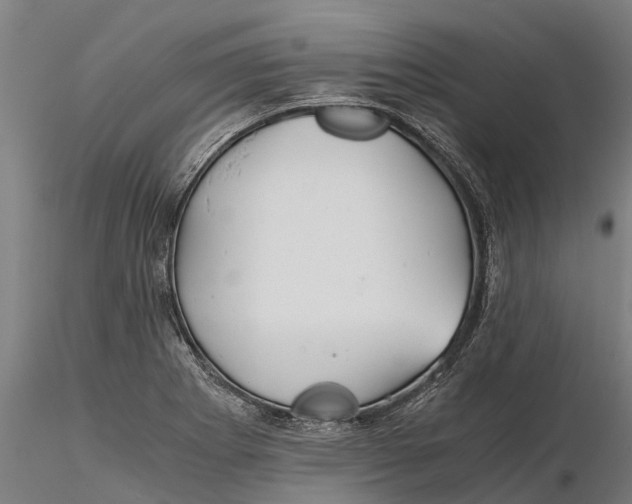 X0000115681273200912031411