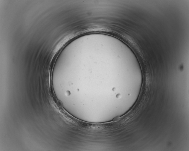 X0000115681274200912031411