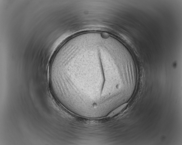 X0000115681275200912031411