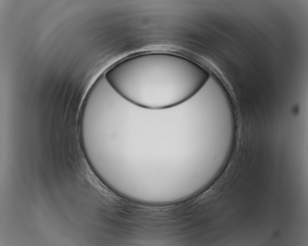 X0000115681276200912031411