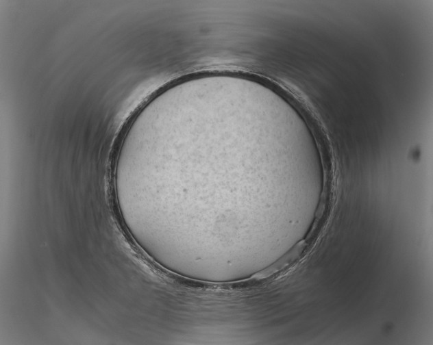 X0000115681277200912031411