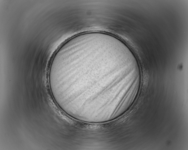 X0000115681278200912031411