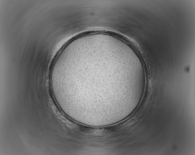 X0000115681279200912031411